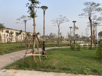 Bán biệt thự song lập HUD Mê Linh - view trực diện công viên 250m2 - giá 13,x tỷ, trung tâm đô thị
