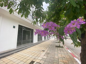 HUD MÊ LINH CENTRAL – ĐẦU TƯ HÔM NAY, ĐÓN TƯƠNG LAI THỊNH VƯỢNG! 
CƠ HỘI VÀNG CHO NHÀ ĐẦU TƯ THÔNG THÁI