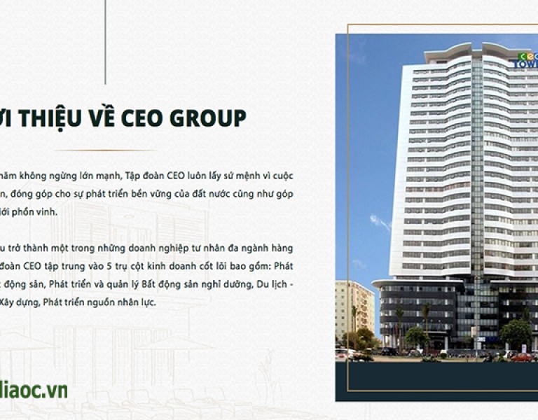Giới thiệu về chủ đầu tư dự án CEO Mê Linh CEOHomes Hana Garden Công ty Cổ phần Tập đoàn CEO