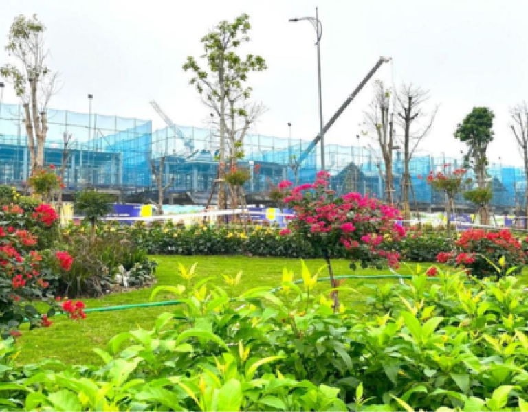 Hàng trăm tỷ đồng phủ xanh đô thị nghỉ dưỡng Sun Group tại Nam Hà Nội
