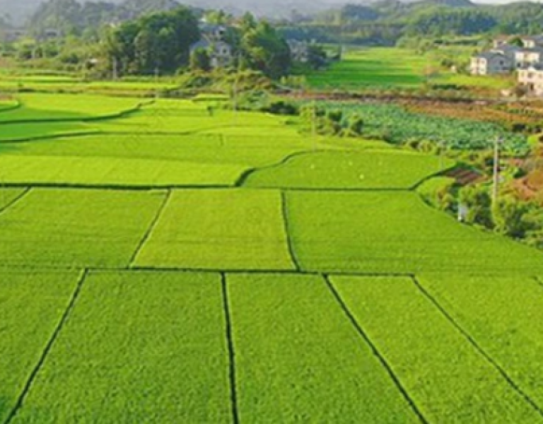 Chi tiết về hồ sơ, thủ tục khi người dân muốn xây nhà trên đất nông nghiệp theo Luật Đất đai mới