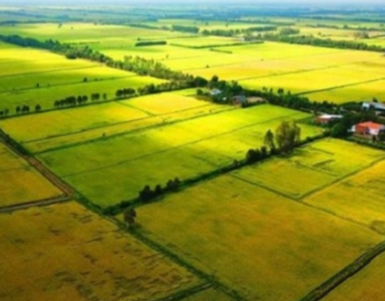 Nhà đầu tư lùng mua đất nông nghiệp, chờ thời tăng giá