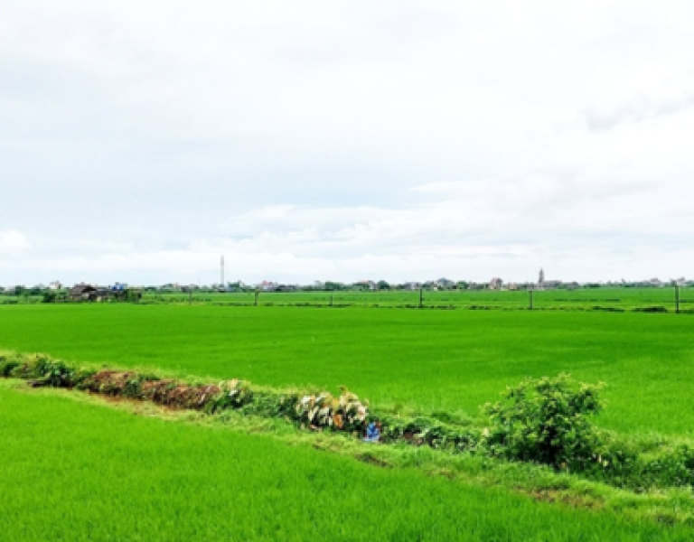 Người dân lưu ý một số điều kiện quan trọng sau đây khi muốn chuyển nhượng đất đai trong năm 2025