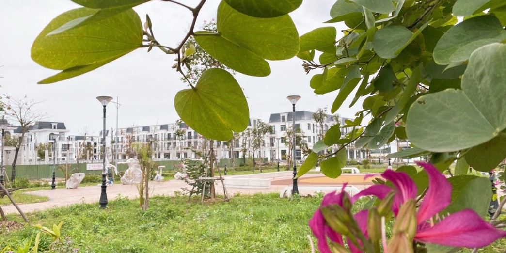 Sở hữu nhà vườn 135m2 vị trí đẹp gần công viêntrường học giá 8x tỷ tại HUD Mê Linh