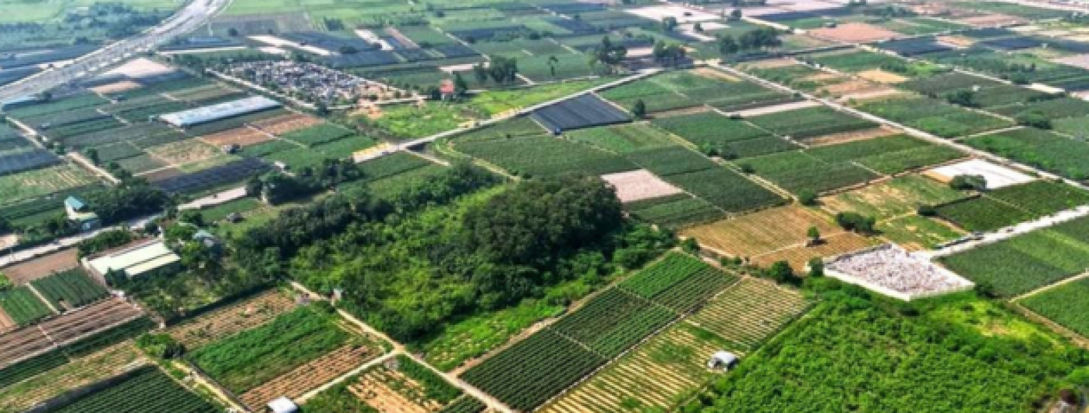 Hưng Yên sắp đấu giá 260 thửa đất, khởi điểm thấp nhất 18 triệu đồng/m2