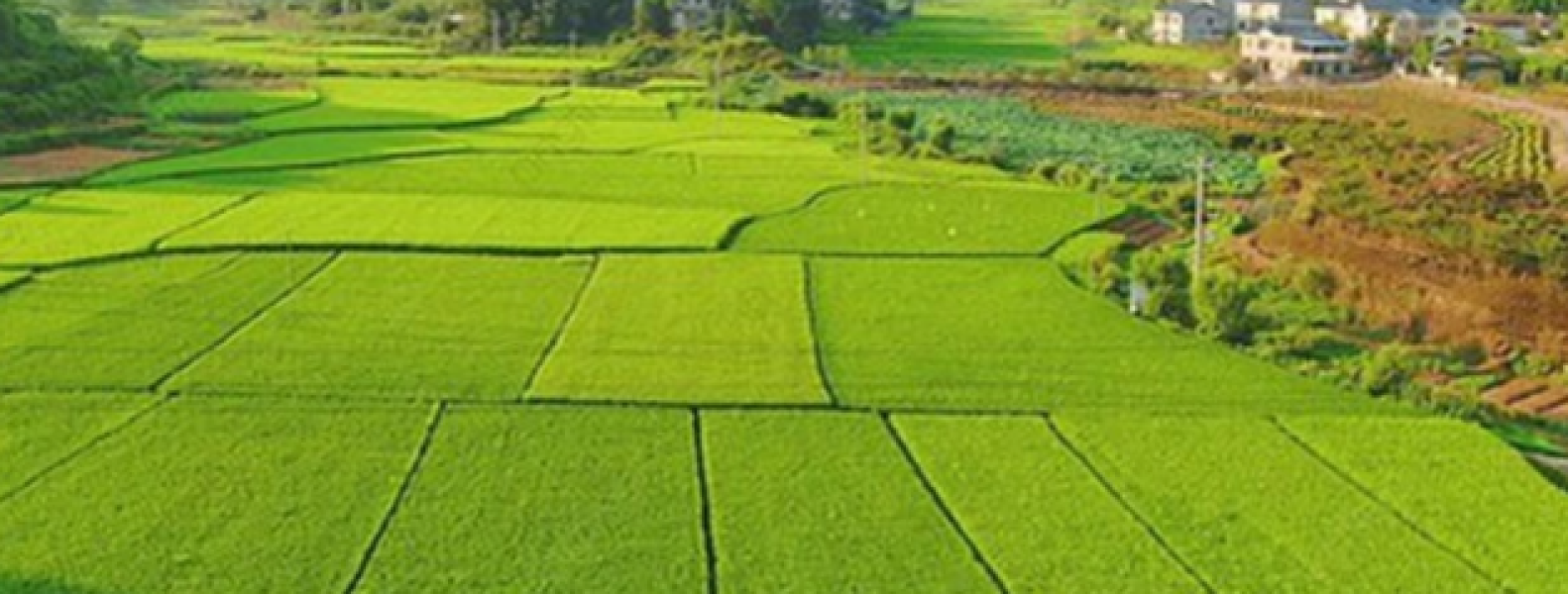 Chi tiết về hồ sơ, thủ tục khi người dân muốn xây nhà trên đất nông nghiệp theo Luật Đất đai mới
