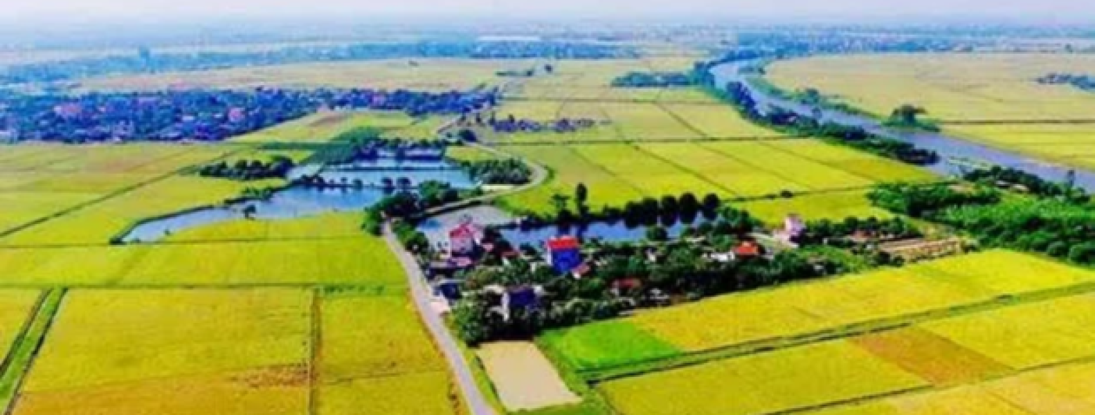 Ngày 30/5, hạn cuối nộp giấy đề nghị gia hạn tiền thuế, tiền thuê đất