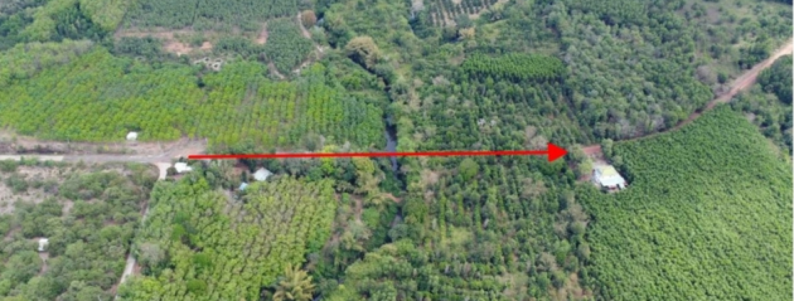 Nghiên cứu, rà soát kỹ phương án đầu tư đường kết nối Bình Phước - Đồng Nai qua cầu Mã Đà