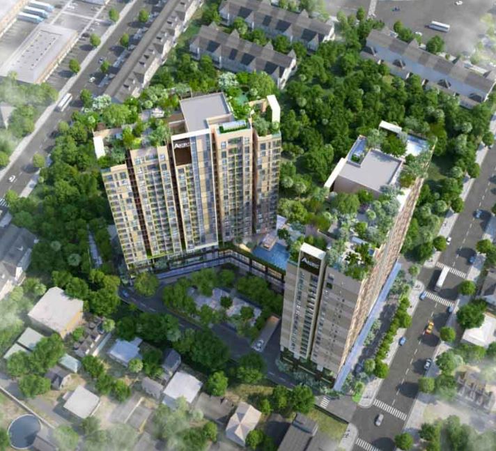 Phối cảnh dự án Ascent Garden Homes