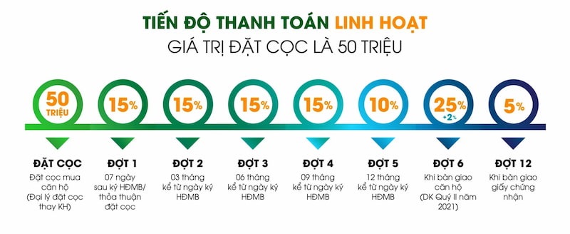 Tiến độ thanh toán Anland 2 Premium Dương Nội