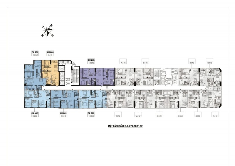 Mặt bằng tầng 3 – 12 dự án The Golden Armor