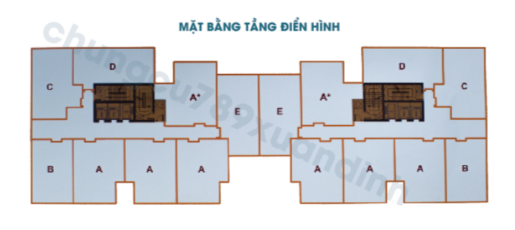 Mặt bằng thiết kế tầng điển hình CT2