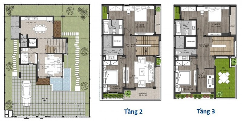 Mẫu thiết kế diện tích 350m2